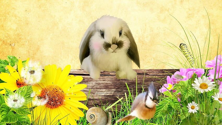 1 Spring Bunny, bunny spring HD wallpaper | Pxfuel