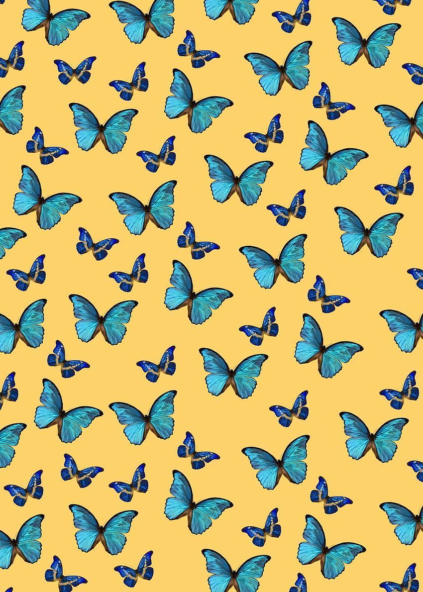 Blue Yellow Butterfly 1' Metal Poster Print, yellow butterfly aesthetic HD  phone wallpaper | Pxfuel