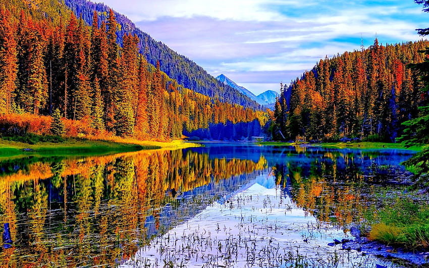 Canada Duffy Duffey Autumn Lake Water, canada autumn HD wallpaper | Pxfuel