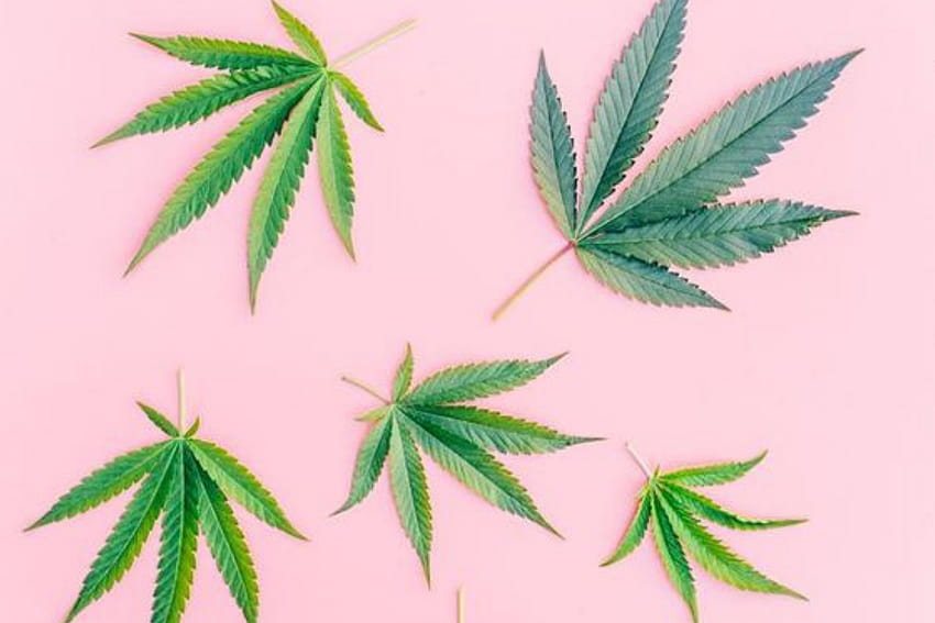 15 CBD + Hemp Products That Are Actually Worth Buying HD wallpaper