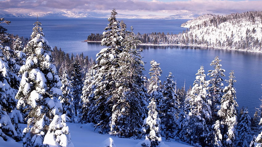 Mùa đông đến với Hồ Lake Tahoe tạo ra một khung cảnh tuyệt đẹp với lòng hồ phủ tuyết trắng, những đường cong tuyệt đẹp của núi non và cây cối đọng tuyết. Hình nền Hồ Lake Tahoe mùa đông tạo nên một không gian ấm cúng, đem lại cảm giác yên tĩnh và thanh tịnh.