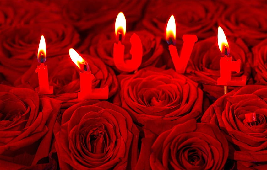 flowers, lights, letters, the inscription, roses, candles, red, Valentine's day, bokeh, I LOVE , section настроения, valentines lights HD wallpaper