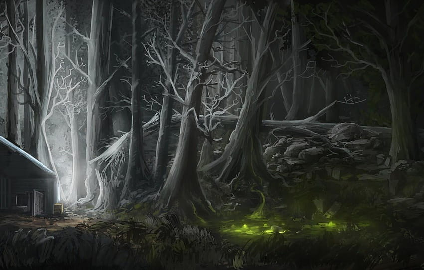 forest, light, night, house, figure, swamp, old trees swamp HD wallpaper