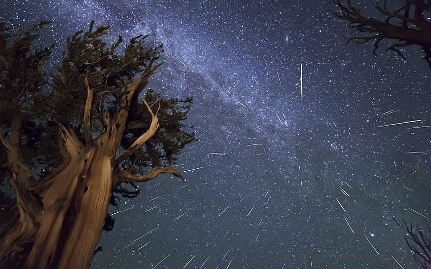 3840x2400 Meteore, Perseidi, Bristlecone Sfondo HD