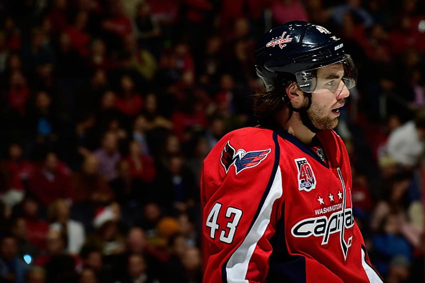 Tom Wilson's Ability To Agitate Assisting Capitals HD wallpaper
