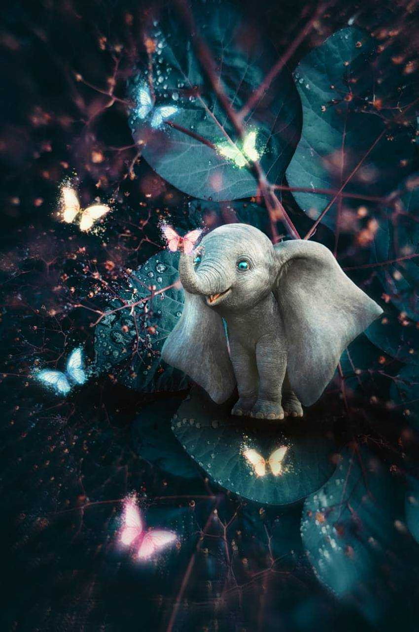 象の赤ちゃん、かわいい象の美学 HD電話の壁紙