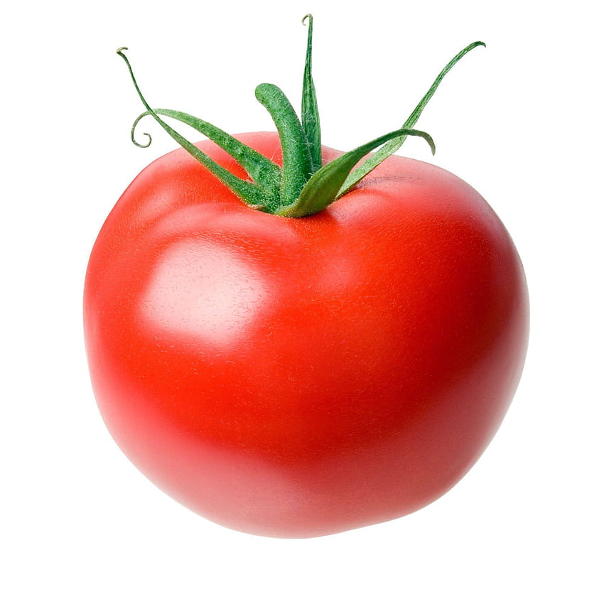 Hochwertige Tomate HD-Handy-Hintergrundbild