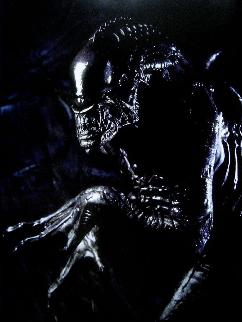 Aliens Vs. Predator: Requiem , Movie, HQ Aliens Vs, alien queen HD phone wallpaper
