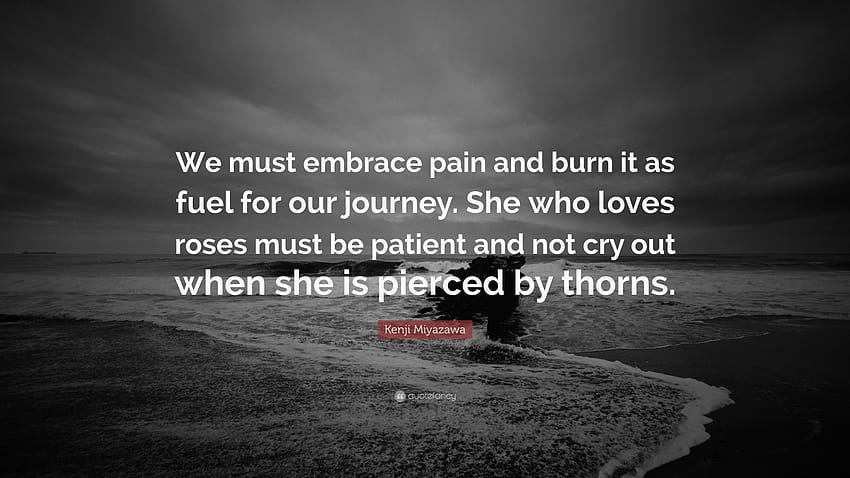 Kenji Miyazawa Quote: “We must embrace pain and burn it as fuel for our journey. She who loves roses must be patient and not cry out when she i...” HD wallpaper