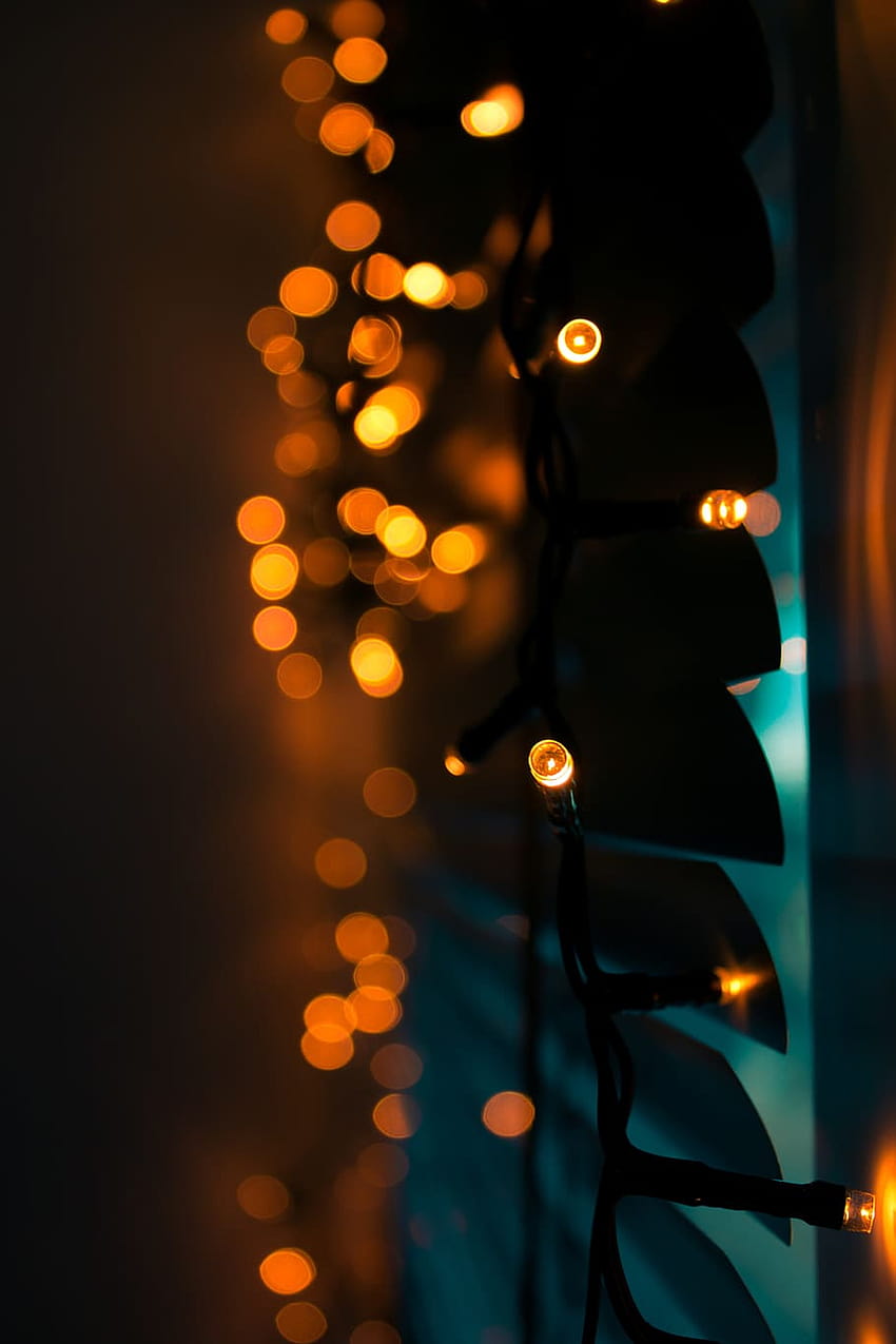 フェアリー ライト, ライト, 気分, 光, ロマンチック, 点灯, abendstimmung, 残り, 神秘的な, 秋, 秋の妖精のライト HD電話の壁紙