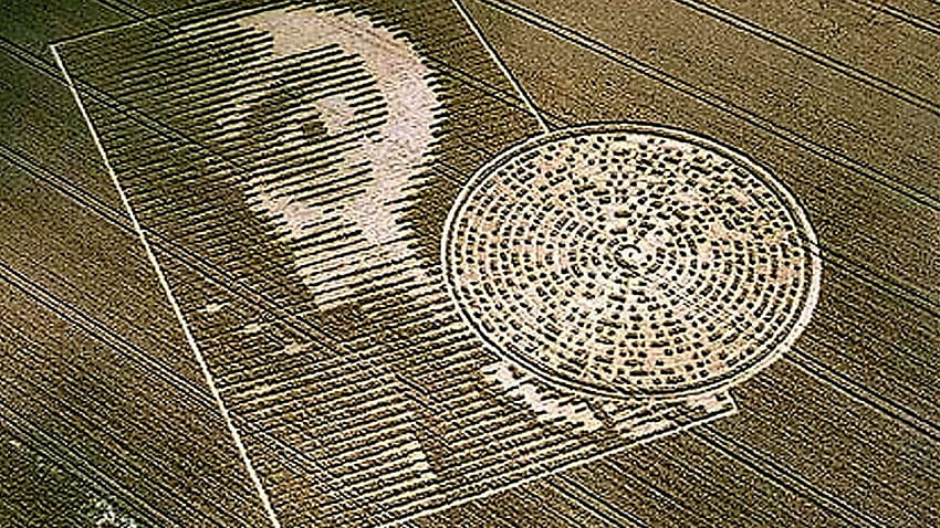 The Alien Face Crop Circle, crop circles HD wallpaper