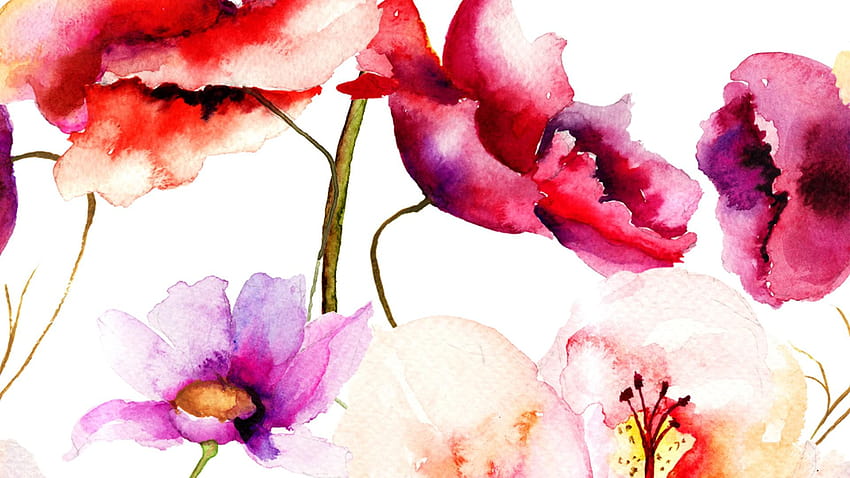 3 Watercolor Flowers, aquarelle HD wallpaper