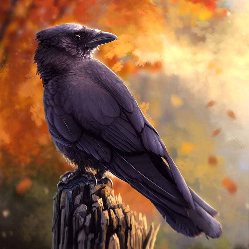1280x1280 raven, bird, art, black, autumn ipad, ipad 2, ipad mini for parallax backgrounds, bird and autumn HD phone wallpaper