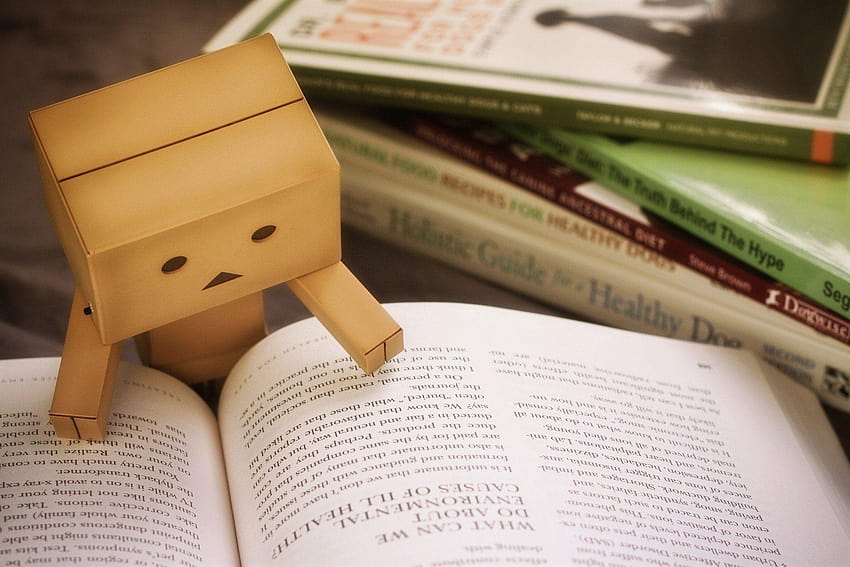 book study danbo cardboard man toys read HD wallpaper