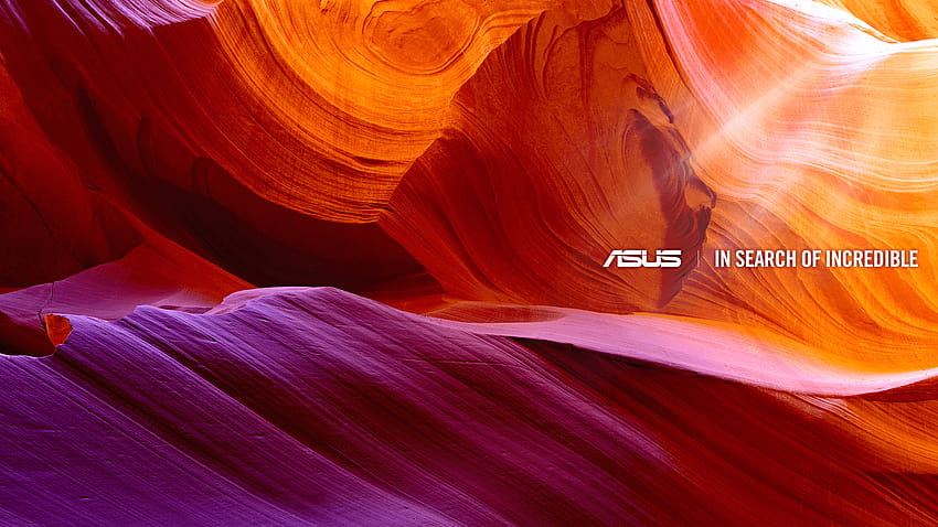 Asus on Dog, Asus-Notebook HD-Hintergrundbild