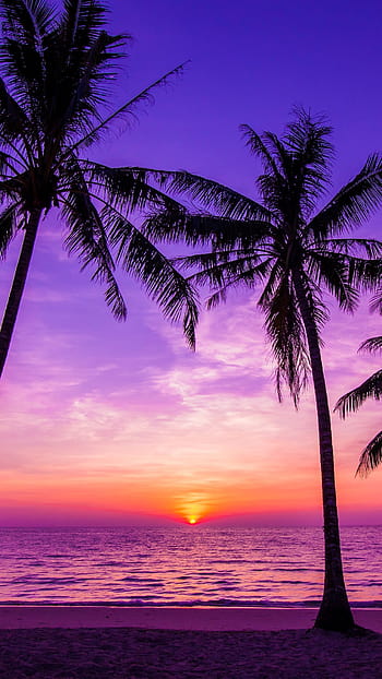 Very cool sunset HD wallpapers | Pxfuel