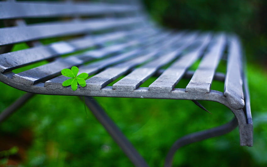 Sheet on the garden bench 1366x768, garden chair HD wallpaper | Pxfuel