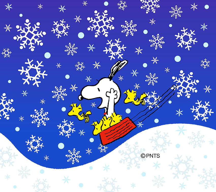 Snoopy Winter, the peanuts winter HD wallpaper