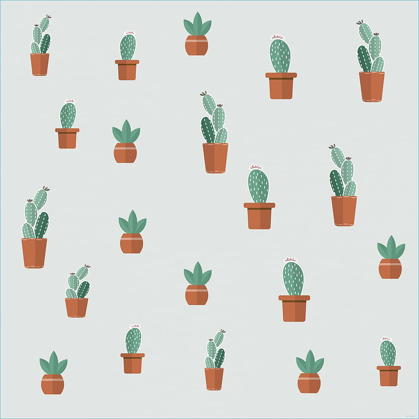 Cool Cactus HD phone wallpaper