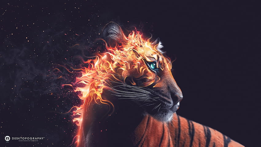 Tygrys spojrzenie wstecz, ogień, bestia, grafika projekt artystyczny 750x1334 iPhone 8/7/6/6S , tło, projekt ognia Tapeta HD