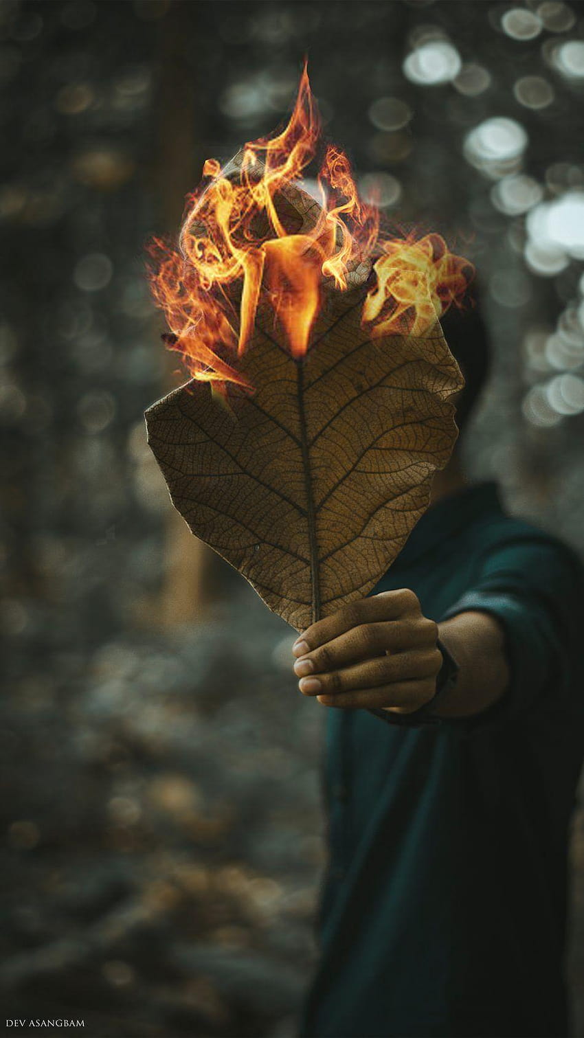 hombre, hojas, fuego, grafía, macro, retrato fondo de pantalla del teléfono