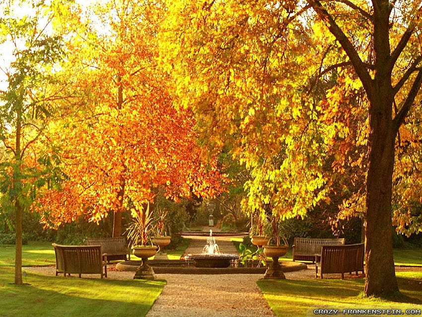 Garden Autumn, sombre autumn scenes HD wallpaper