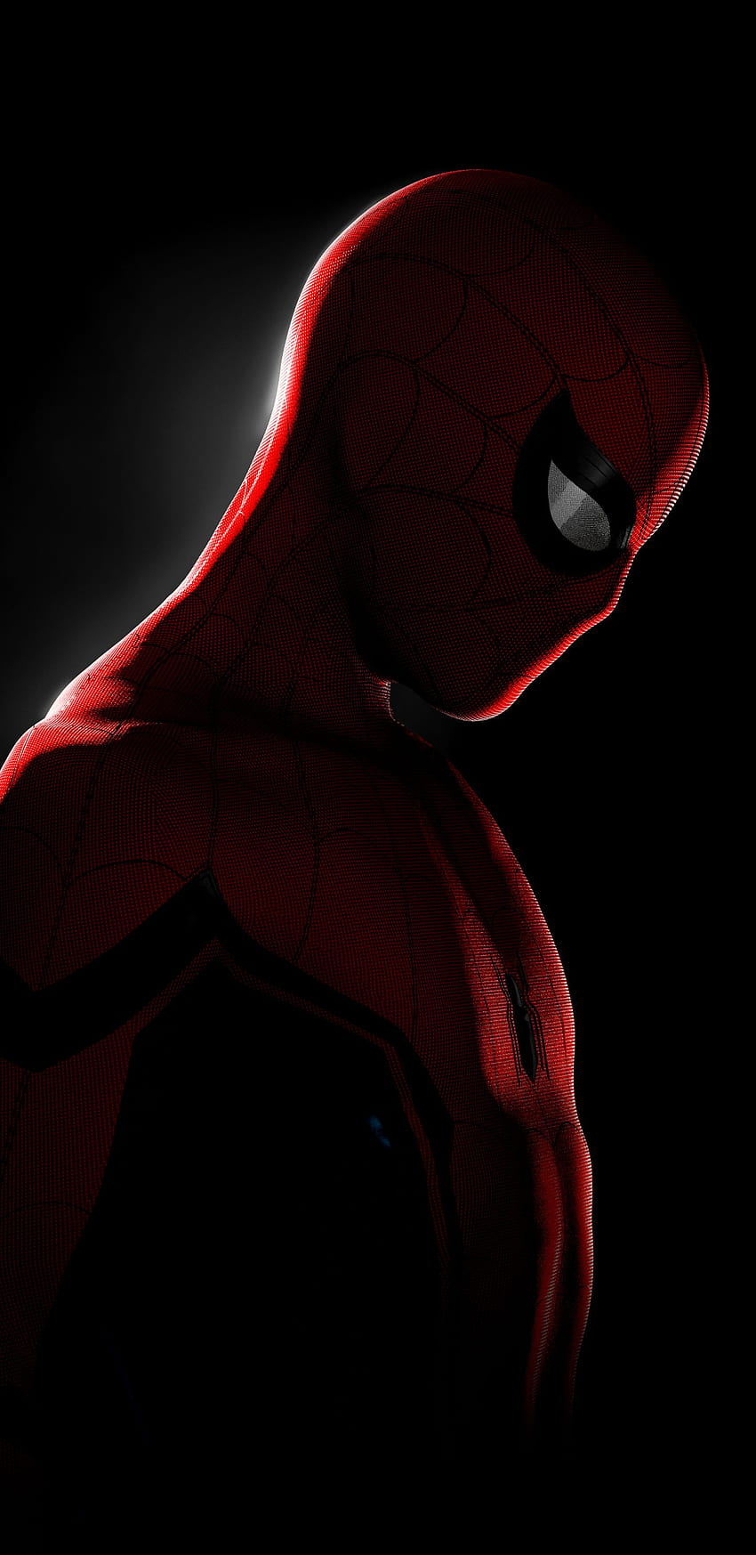 Spiderman In the Dark [1440X2960] : Amoledbackgrounds, spider man amoled HD phone wallpaper