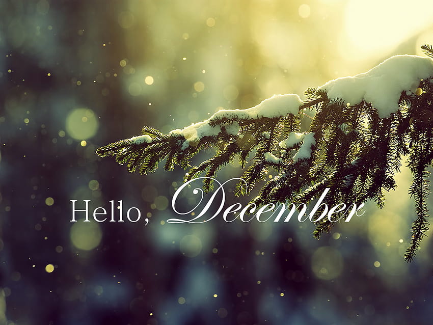 Goodbye November Hello December, bye winter HD wallpaper
