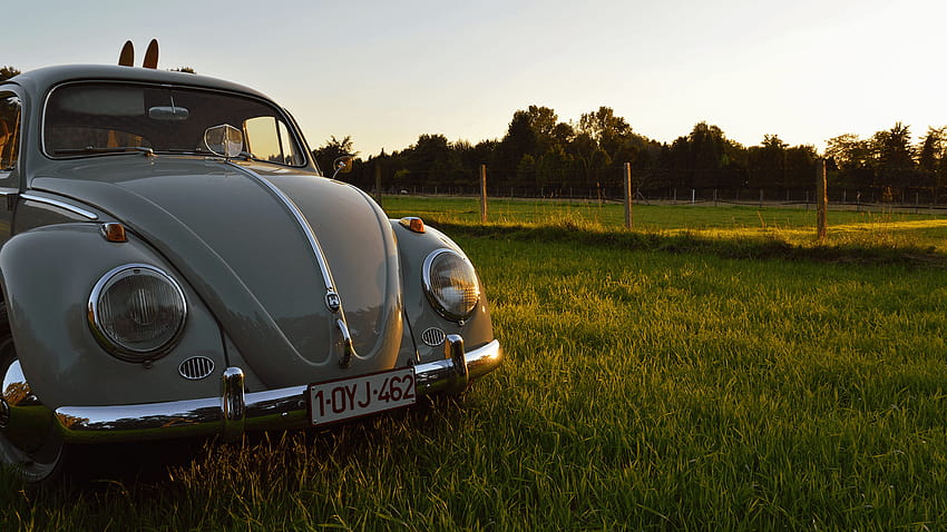 Volkswagen, Volkswagen Beetle, Car, Oldtimer, Vintage, old timer HD wallpaper