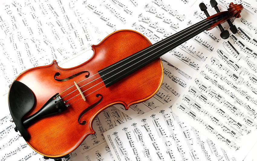 violin graphy HD wallpaper