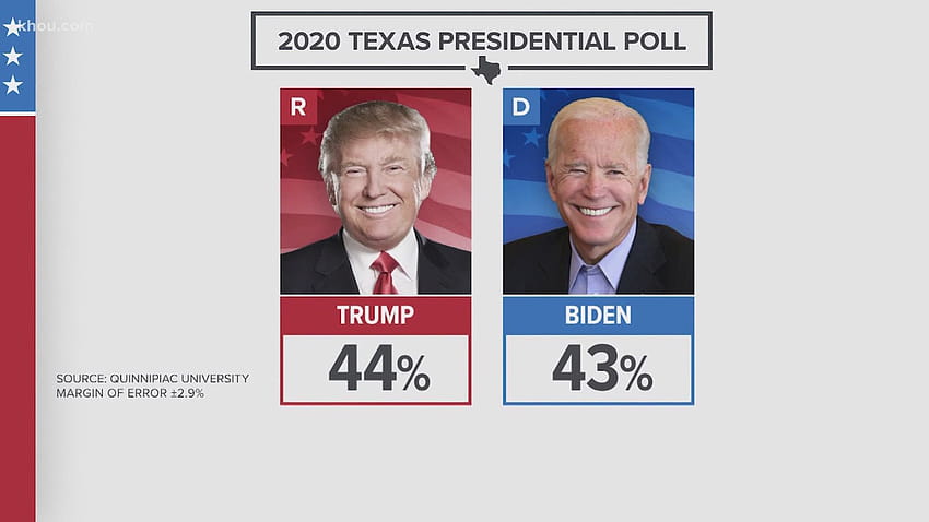 Donald Trump vs. Joe Biden steht fest: Die Nominierung der Demokraten ist gesichert HD-Hintergrundbild