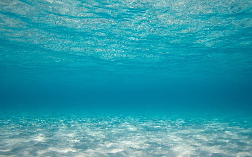 Bottom Of The Sea, at the sea HD wallpaper