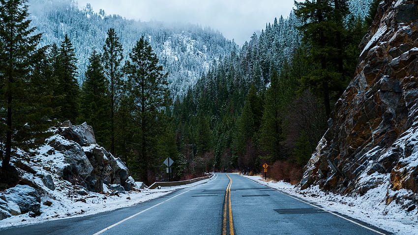 숲, 도로, 눈, 겨울, 크롬북 겨울 HD 월페이퍼