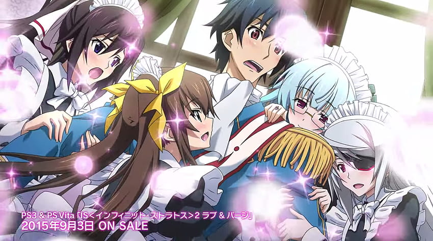 PS3 IS Infinite Stratos 2 Love and Purge Japan Game Japanese