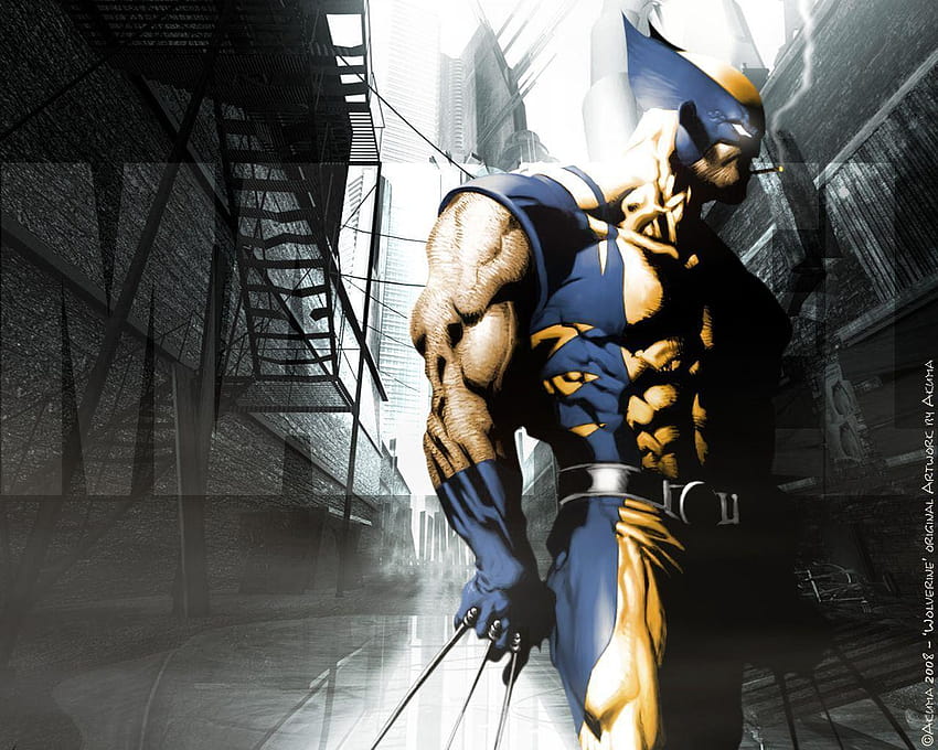 Wolverine Wallpapers HD  Wallpaper Cave