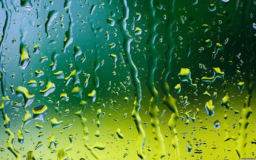 Gotas: Gotas de vidro Rain Water Amazing Nature para 16:9, copo com gotas de água papel de parede HD