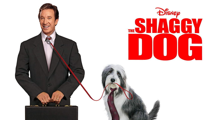 The Shaggy Dog HD wallpaper