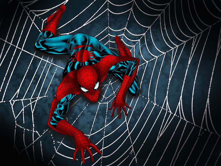 Spider Man Web, スーパーヒーロー, 背景 高画質の壁紙