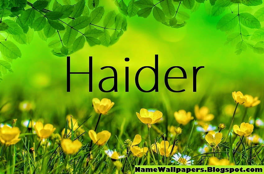 Haider ~ Name Urdu ...name .blogspot HD wallpaper