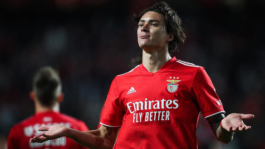 ŞAMPİYONLAR LİGİ – Klopp'u endişelendiren Benfica forveti Darwin Nuñez, darwin nunez HD duvar kağıdı