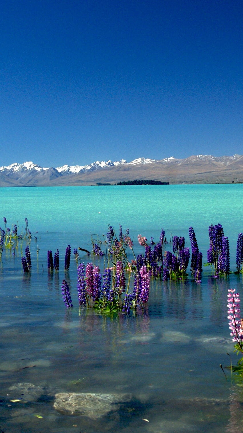 jezioro tekapo w nowej zelandii Tapeta na telefon HD
