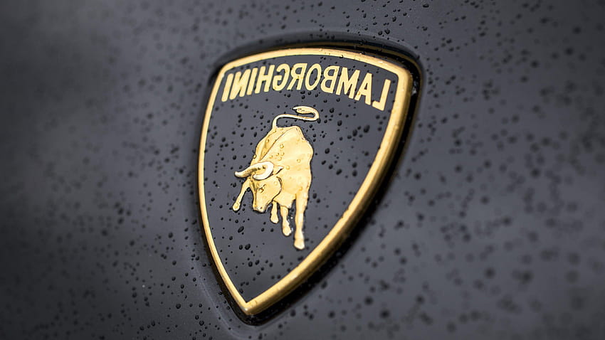Lamborghini Logo Png And Vector, lamborghini logo with background HD  wallpaper | Pxfuel