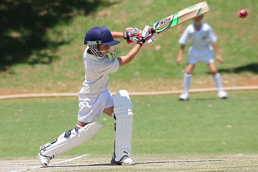 Boy in Full Cricket Gear · Stock, cricket kit HD wallpaper
