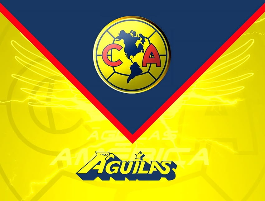 America aguilas computer HD wallpapers | Pxfuel