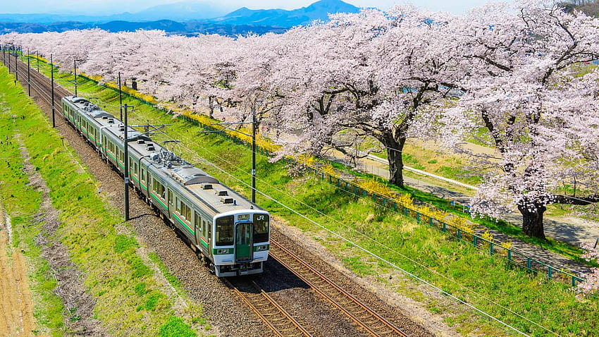 Japan Rail Pass, kereta Jepang Wallpaper HD