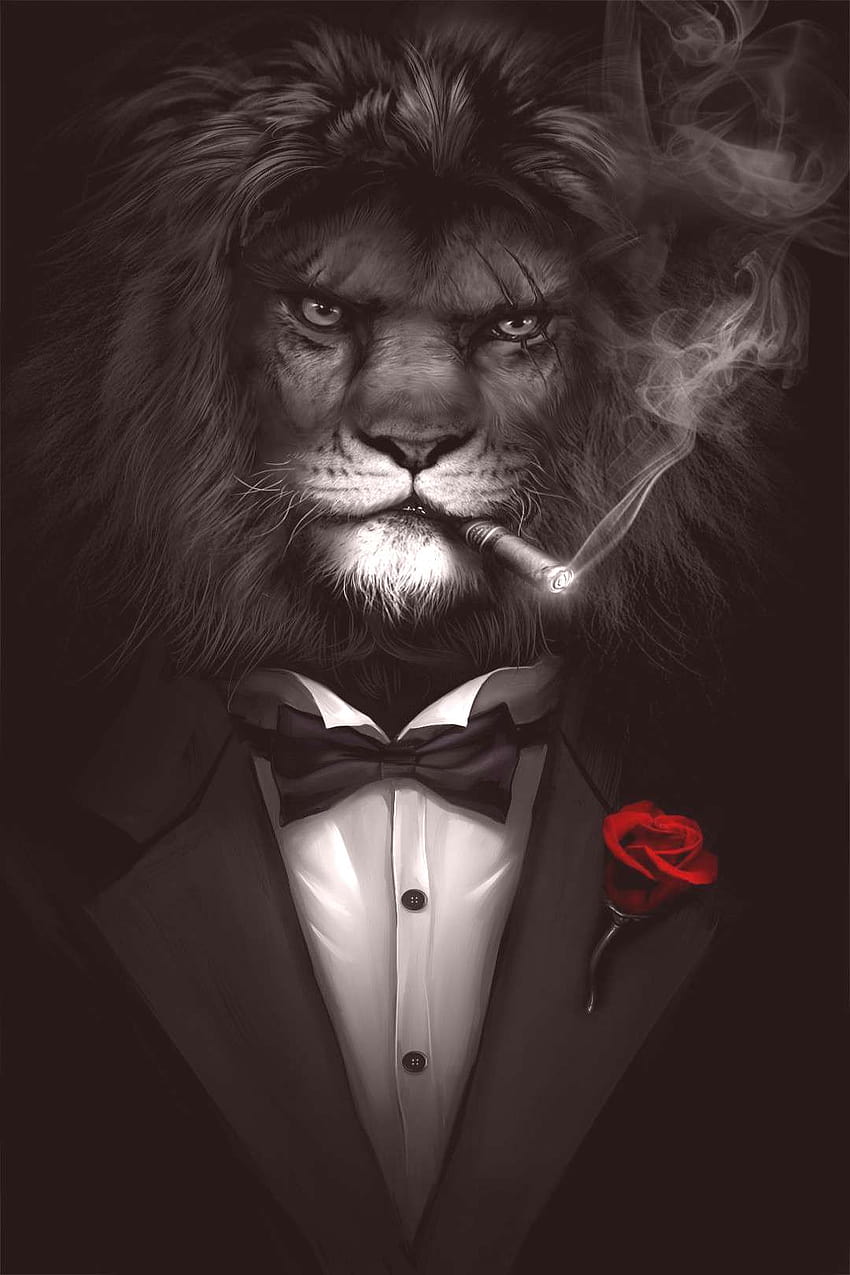 Black Lion High Quality Resolution For Iphone on , if you like it dont forget HD phone wallpaper