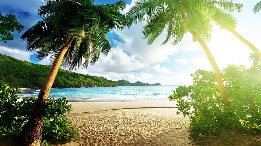 Strände: Palm Bright Sea Beach Clouds Trees Island Tropischer Himmel, 3D-Meeresstrand HD-Hintergrundbild