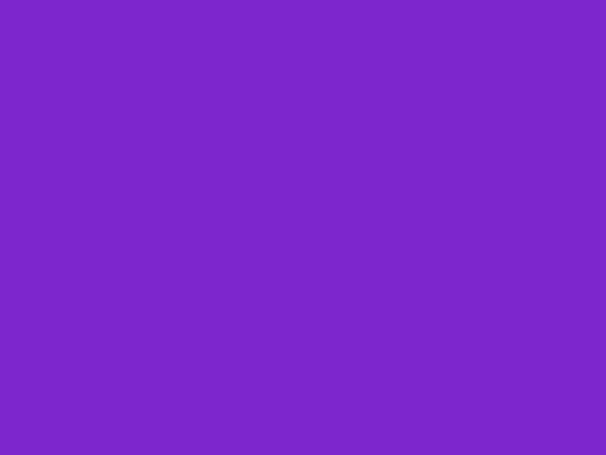 Warna Polos, gambar warna ungu HD тапет
