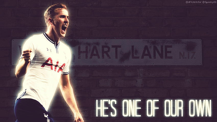 Harry Kane quer jogar toda a sua carreira no Tottenham, kane 2015 papel de parede HD