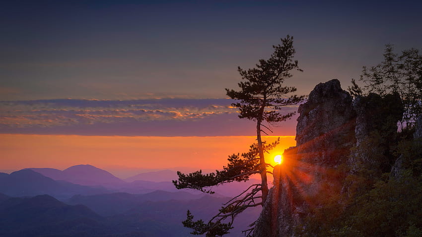 Mountain, cliff, tree, sun rays, sunrise, morning 5120x2880 U , sunrise tree HD wallpaper